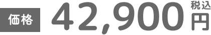 価格 税込42,900円