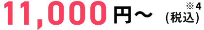 11,000円〜（税込）